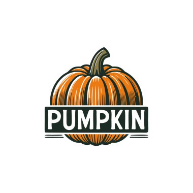 kabak ikonu vektör illüstrasyonu