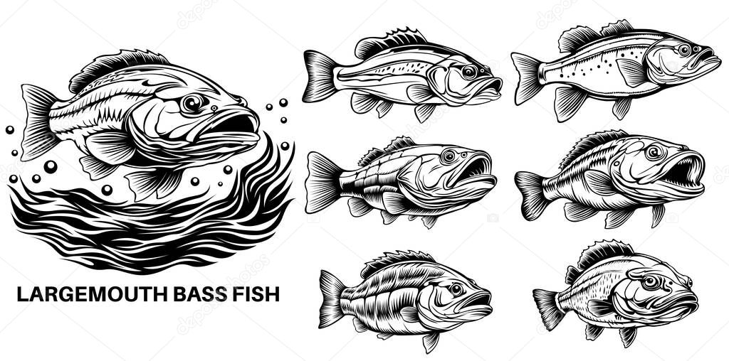 Set collections Largemouth bass fish icon logo design vector illustrations