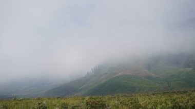 Bromo Dağı 'nın manzarası çok güzel.