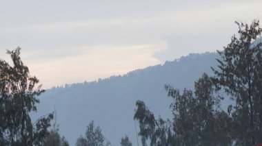 Parktaki ağaçların yeşil rengine bak.