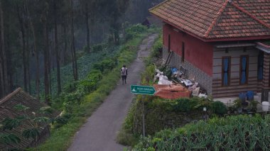 Bromo, Endonezya - 20 Ocak 2025 Bromo City 'de taze ve serin görünüyor
