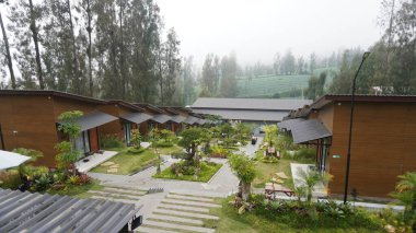 Parktaki ağaçların yeşil rengine bak.