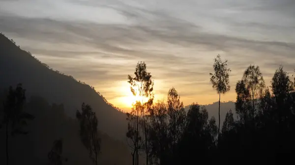 # Güneşli bir sabah #