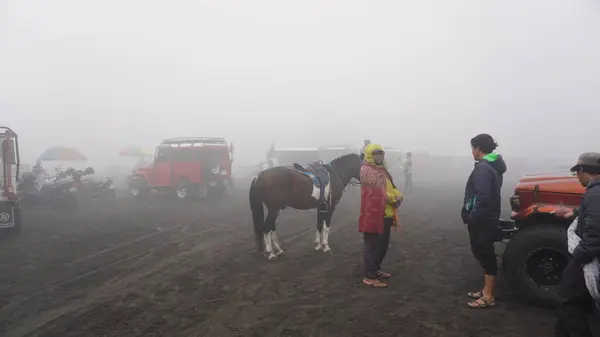 Bromo, Endonezya - 20 Haziran 2024: İnsanlar Bromo Dağı 'nda ata biniyor