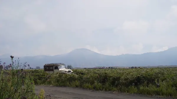 Bromo, Endonezya - 20 Haziran 2024 Bromo Dağı 'nda bir cip var.