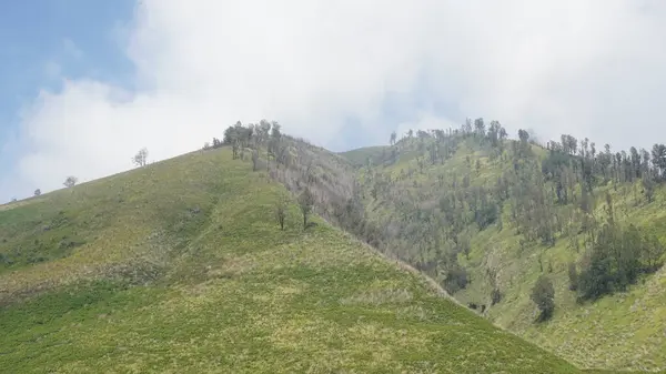 Bromo Dağı 'nda sisli görünüyor.