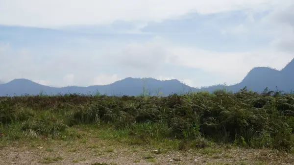 Bromo Dağı 'nda sisli görünüyor.