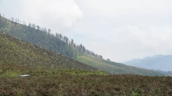 Bromo Dağı 'nın manzarası çok güzel.