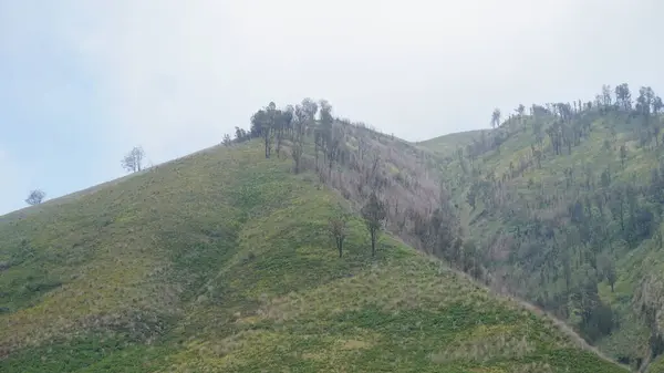 Bromo Dağı 'nda sisli görünüyor.