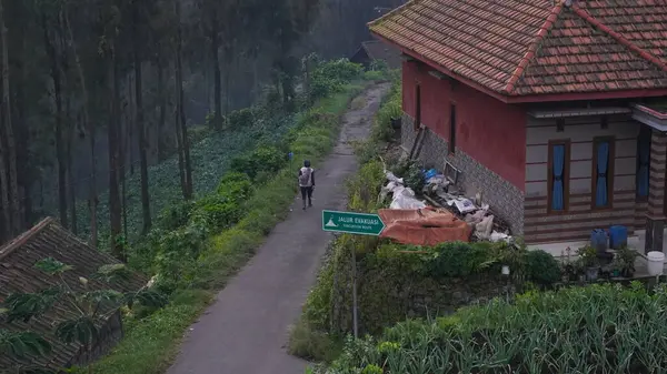 Bromo, Endonezya - 20 Ocak 2025 Bromo City 'de taze ve serin görünüyor