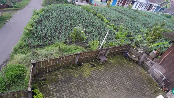 Parkta yeşil renkli bir ağaç var.