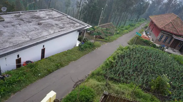 Bromo, Endonezya - 20 Ocak 2025 Bromo City 'de taze ve serin görünüyor