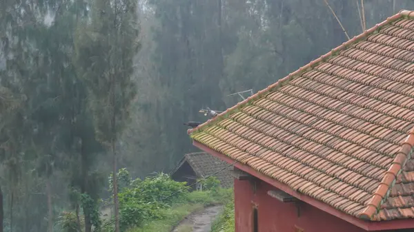 Bromo, Endonezya - 20 Ocak 2025 Bromo City 'de taze ve serin görünüyor