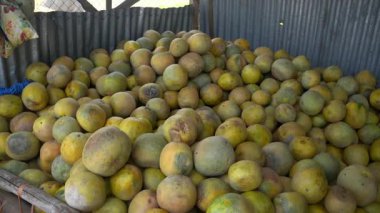 Depoda sarı ve yeşil renkli karpuz