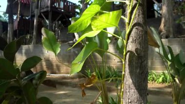 Park akşamları çok güzel görünüyor.