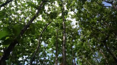 Park akşamları çok güzel görünüyor.