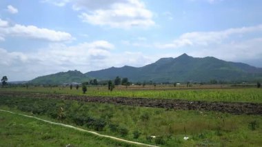 Park akşamları çok güzel görünüyor.