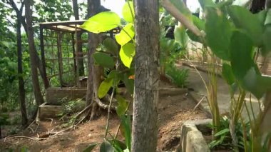 Park akşamları çok güzel görünüyor.