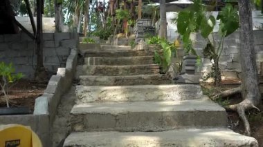 Parkta güzel ve taze görünüyor.