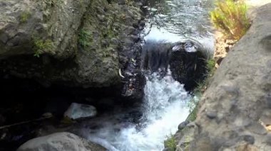 Parktaki küçük nehrin tatlı suyla harika görünmesi.