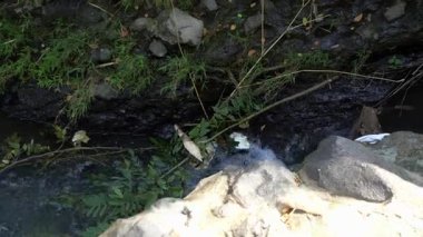 Parktaki küçük nehrin tatlı suyla harika görünmesi.