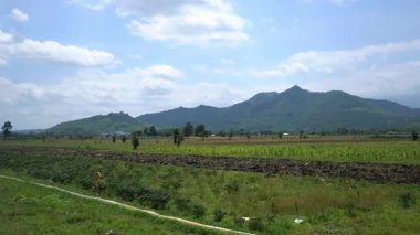 Park akşamları çok güzel görünüyor.