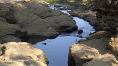 Parktaki küçük nehirdeki tatlı suya bak.