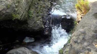 Parktaki küçük nehirdeki tatlı suya bak.