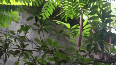 Parkta yaprak çok güzel görünüyor.