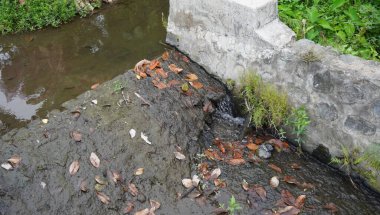 Köydeki küçük nehirden taze görünüyor.
