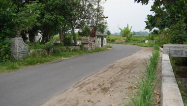 Parktaki ağaçlar çok güzel görünüyor.