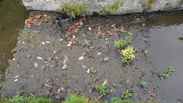 Köyün küçük nehri harika görünüyor.