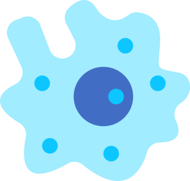 Amoeba renkli simgenin görüntü vektörü grafiği