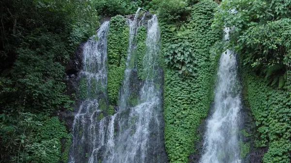 şelale ile tropikal orman