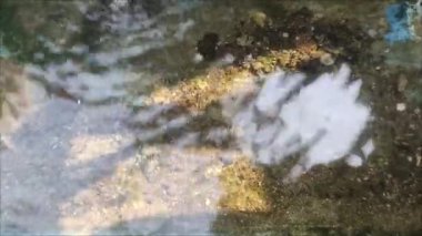 Parktaki nehrin güzel manzarası