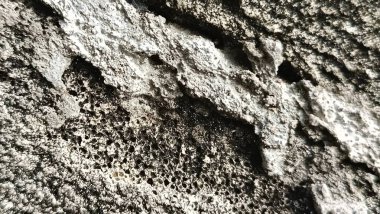 Hasarlı duvar kaplaması, pürüzlü duvar dokusu ve yıpranmış alçı detaylarının soyut arkaplanı.