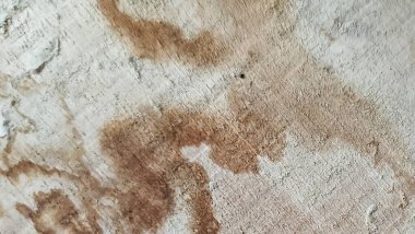 Yıpranmış ahşap taneciklerin soyut arka planı. Lekeli ahşap doku. Tahtada su hasarı deseni.