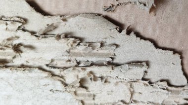 Soyut karton yüzey arkaplanı ve yırtık karton doku.