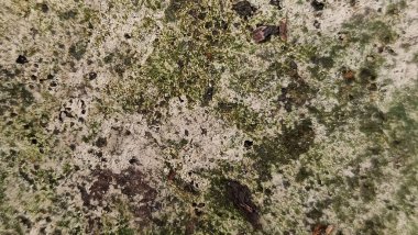 Arka plan Doğal taş yüzeyi ve doğal dokunun yakın çekimi.