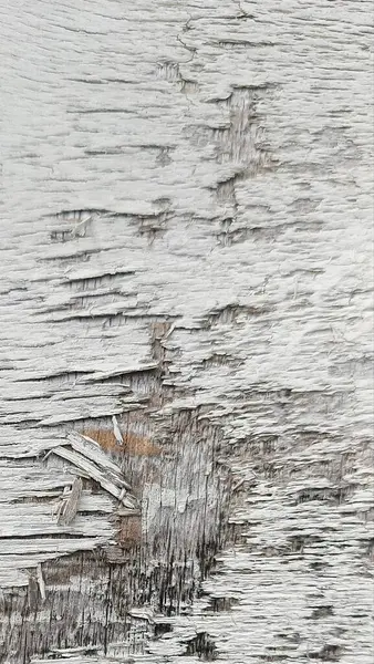 Yıpranmış ahşap taneciklerin soyut arka planı. Hasarlı odun yüzeyi. Parçalanmış ahşap doku.