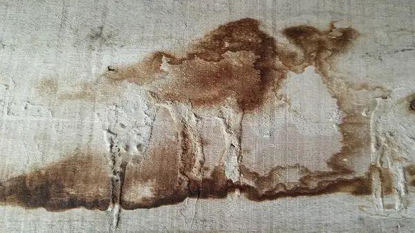 Yıpranmış ahşap taneciklerin soyut arka planı. Lekeli ahşap doku. Tahtada su hasarı deseni.