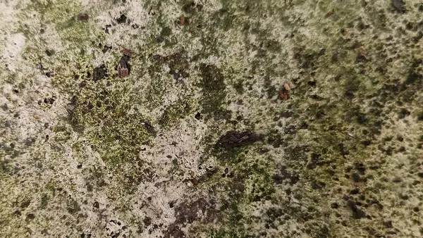 Arka plan Doğal taş yüzeyi ve doğal dokunun yakın çekimi.