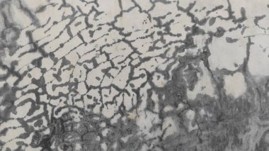 Soyut gri ve beyaz desenli yüzey. Doğal solgunluk