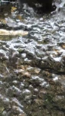 Parktaki nehrin güzel manzarası