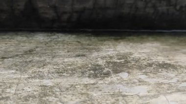 Yağmur yağdığında oluşan su birikintileri. Yağmur suyunun doğal sıçraması..