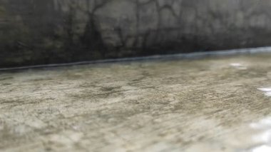 Yağmur yağdığında oluşan su birikintileri. Yağmur suyunun doğal sıçraması..