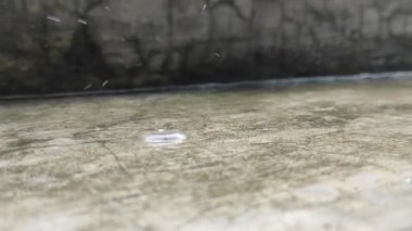 Yağmur yağdığında oluşan su birikintileri. Yağmur suyunun doğal sıçraması..