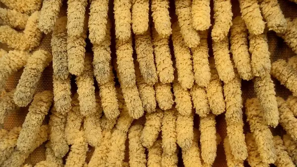 Sarı, yüksek desenli kumaşın detaylı yakın çekim görüntüsü.