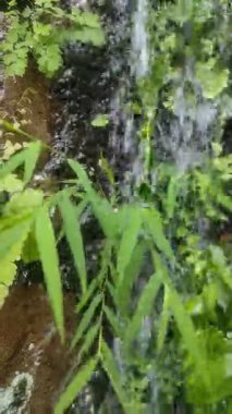 Yağmur sırasında parktaki bir şelalenin güzelliğinin bir görüntüsü..