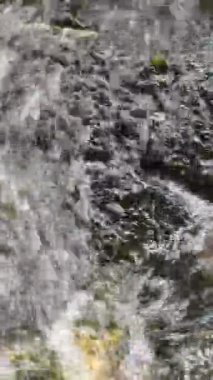 Parktaki nehrin güzel manzarası